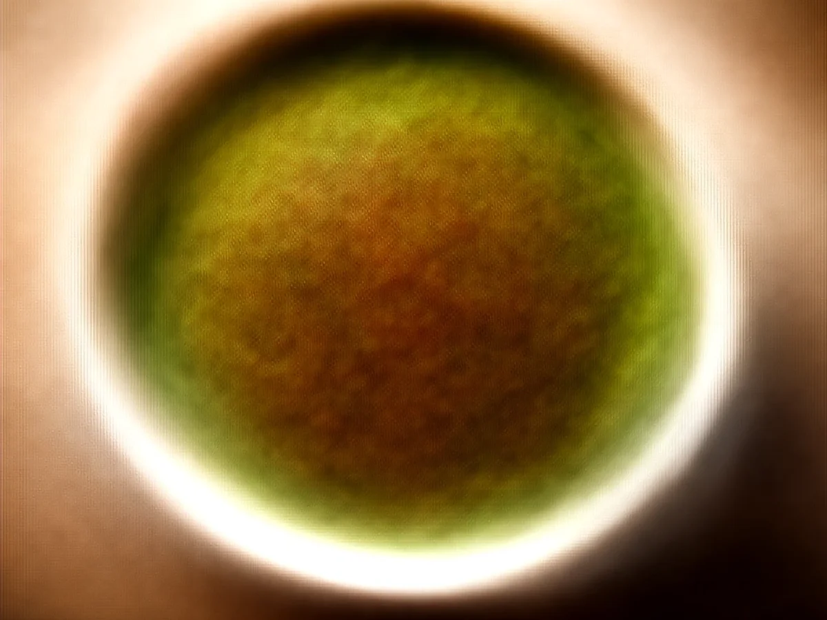 Classic Green Bean and Potato Casserole: A Warm Embrace - Image 1